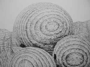 Gerard van Rooy - Ballen kopen? Bied vanaf 30!