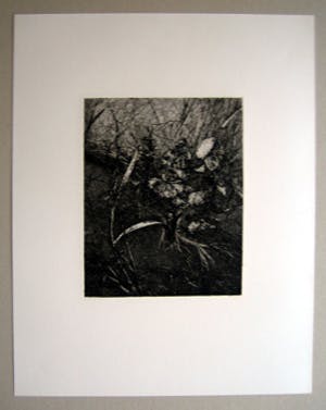 Reinder Homan - Zonder titel kopen? Bied vanaf 75!