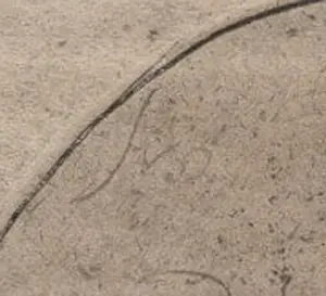 Adriaen van Ostade - De roker, die zijn pijp aansteekt kopen? Bied vanaf 125!