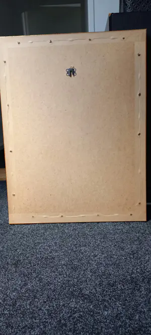 John Hill - Gravures van bloemen. kopen? Bied vanaf 100!