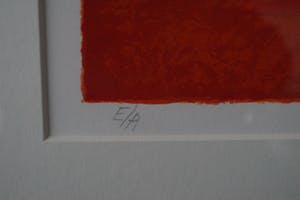 Willem van Scheijndel - She was looking back .... kopen? Bied vanaf 150!