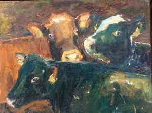 Ruud Spil - 1961. Kongs gärd Kalverenbox , koeien verkocht voor € 175!