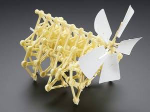 Theo Jansen - mini strandbeest model kit (de originele!) kopen? Bied vanaf 40!