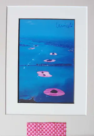 Christo - Project " Surrounded Islands " 1983 - inc. original stofmonster - handgesigneerd kopen? Bied vanaf 130!