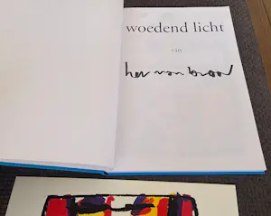 Herman Brood - Woedend Licht + zeefdruk kopen? Bied vanaf 125!