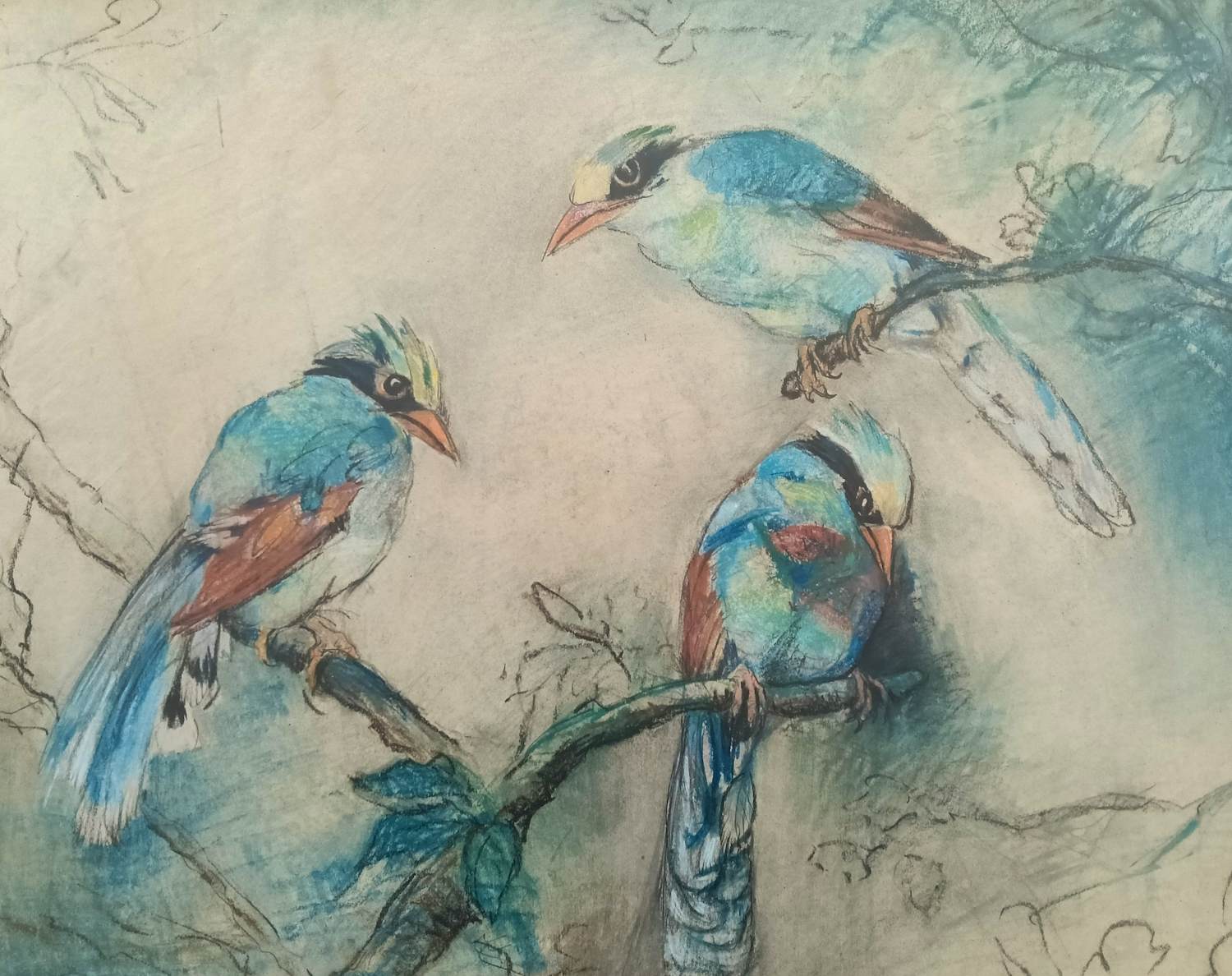 Johanna Pieneman - Drie (jacht) Eksters kopen? Bied vanaf 95!