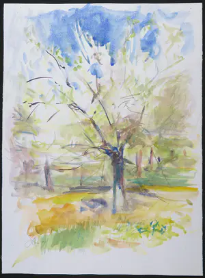 Franscz Witte - Aquarel, Boom kopen? Bied vanaf 1!