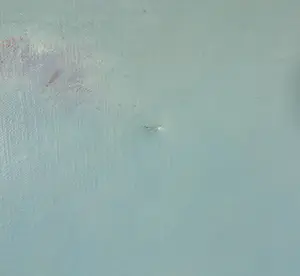 Rob van Essen - Olieverf op doek, Zonder titel IV - Ingelijst (Groot) kopen? Bied vanaf 1!