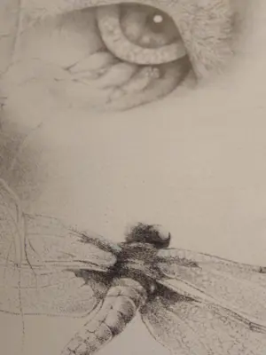 Robert Franken - A Fable kopen? Bied vanaf 20!