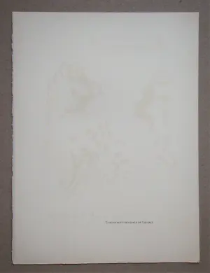 Marc Chagall - Eerbetoon aan San Lazzaro - 1975 - Originele lithografie - Moulot kopen? Bied vanaf 100!