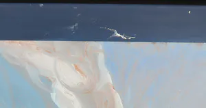 Nuray Atas - Olieverf op doek, Pechvogel in glorie - Ingelijst (Zeer groot) kopen? Bied vanaf 1!