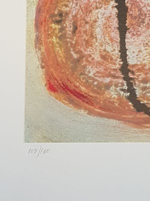 Jan te Wierik - Moeder met kind kopen? Bied vanaf 60!