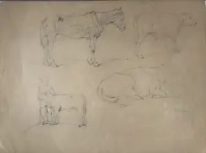 Eugene Joseph Verboeckhoven - Dieren (lot van 8) kopen? Bied vanaf 75!