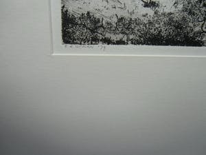 Reinder Homan - DRIE DENNEN kopen? Bied vanaf 70!