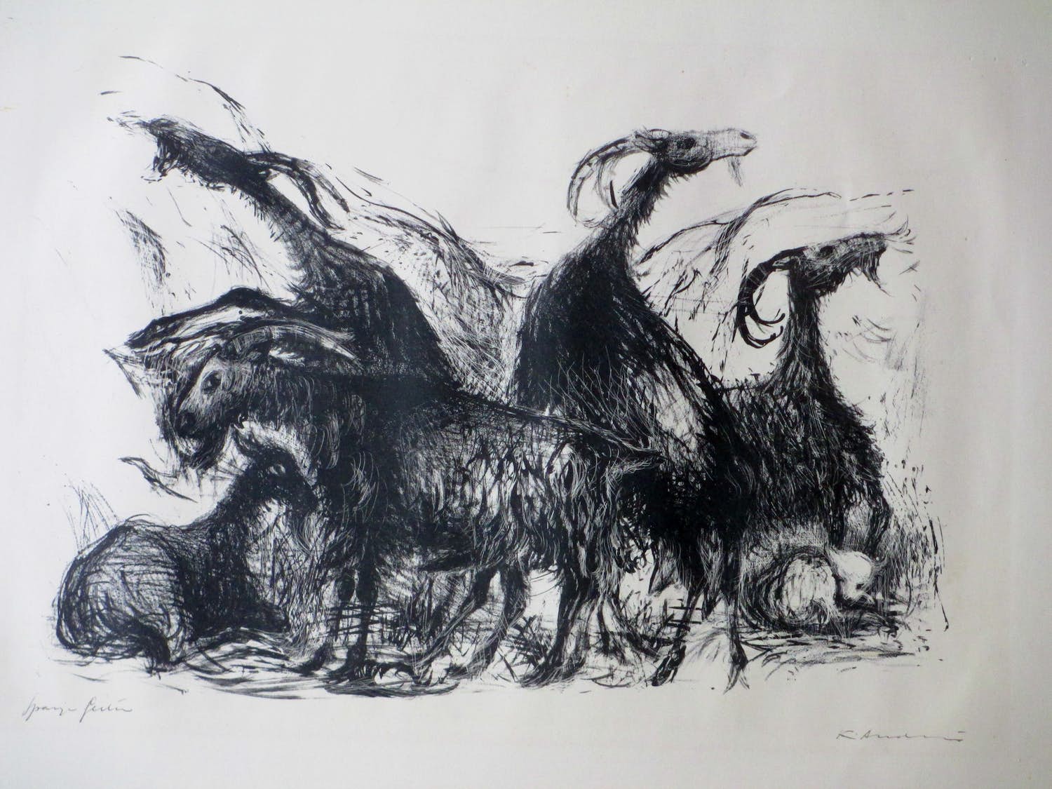 Kees Andrea - Spaanse geiten - Litho verkocht voor € 40!