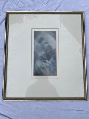 Jan de Kok - Titel onbekend (twee duiven) kopen? Bied vanaf 30!