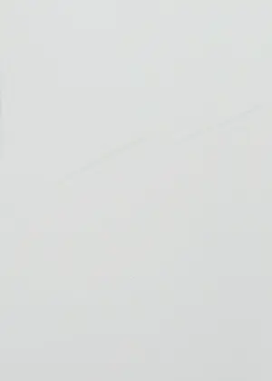 Clemens Briels - Zeefdruk, Candy Caramelo: the worlds biggest showgirl - Ingelijst (Groot) kopen? Bied vanaf 150!