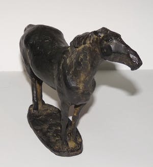 Floyd Tennison Dewitt - Paard kopen? Bied vanaf 850!