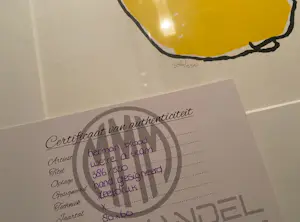 Herman Brood - We are a team kopen? Bied vanaf 299!