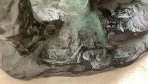 Frank Letterie - Contact ll kopen? Bied vanaf 725!