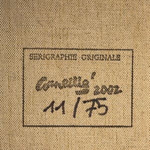 Corneille - Oiseau kopen? Bied vanaf 350!