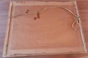 Alfons Van Meirvenne - De Schildpad kopen? Bied vanaf 275!