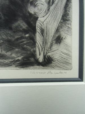 Kuno Brinks - PAARD kopen? Bied vanaf 80!