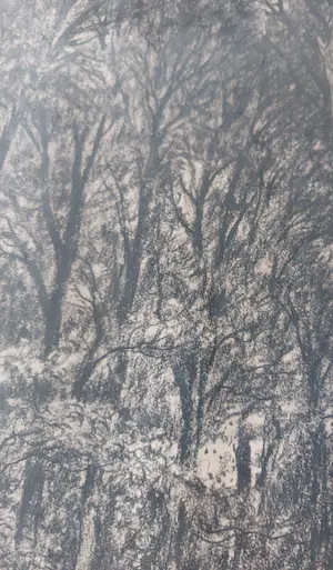 Riekele Prins - Boslandschap kopen? Bied vanaf 80!