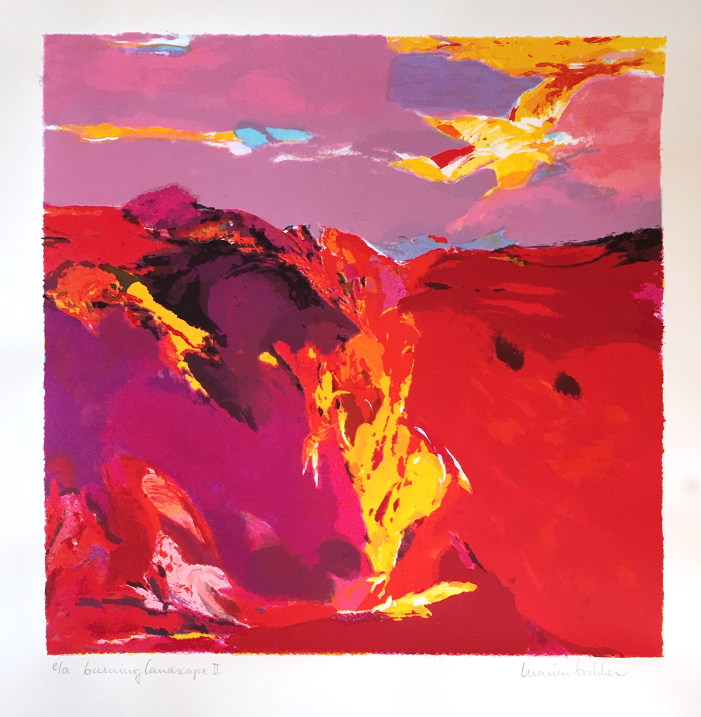 Marion Bakker - Burning landscape II kopen? Bied vanaf 55!