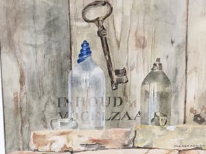 Jos van den Berg - Inhoud vogelzaa kopen? Bied vanaf 45!