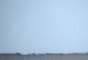 Edouard Manet - Portret van een vrouw met hoed - Offsetlithografie - 1974 kopen? Bied vanaf 80!