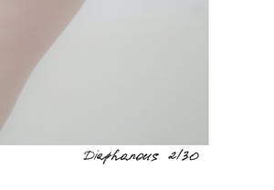Lidiia Khaikara - Daiphanous kopen? Bied vanaf 125!