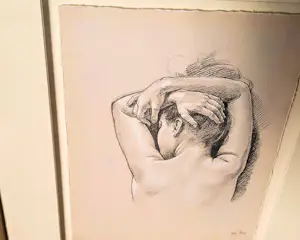 Francine van Hove - Lithografie auf Büttenpapier "The Nose the Pillow" Passepartout Rahmen kopen? Bied vanaf 90!