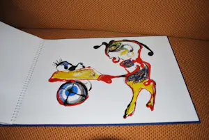 Jan te Wierik - Enorm hardcover boek met 13 grote afbeeldingen kopen? Bied vanaf 75!