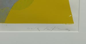 Niet of onleesbaar gesigneerd - Sjabloondruk, Zonder titel - Ingelijst kopen? Bied vanaf 1!