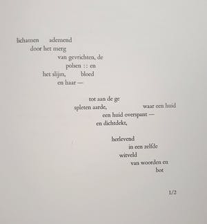 Roger Raveel - Hersenslag, complete uitgave met 4 houtsneden kopen? Bied vanaf 1295!