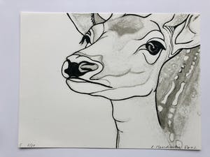 Rosemin Hendriks - box met 6 zeefdrukken PARK kopen? Bied vanaf 450!