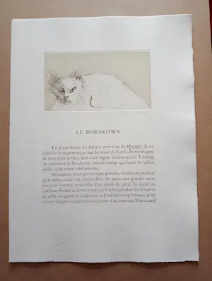 Leonor Fini - Leonor Fini Ets Le Borakoma Surrealisme 1975 kopen? Bied vanaf 75!