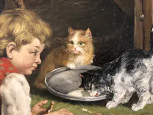 Peter Albert Speier - Kätzchen kopen? Bied vanaf 150!