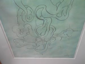 Frank van den Broeck - Het hart heeft zijn redenen - 23 april 1995. kopen? Bied vanaf 225!