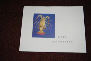 Erik Andriesse - 192 polaroids (oplage 500) & 2 andere gidsen kopen? Bied vanaf 75!