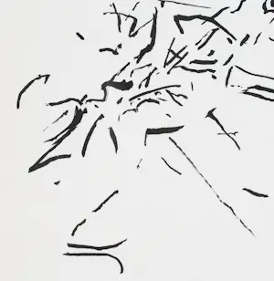 Jaap Hillenius - Groeien kopen? Bied vanaf 140!