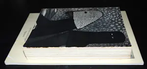 Harry van Kruiningen - 2 boekwerken: 33 etsen Amsterdam en 22 etsen Spinoza kopen? Bied vanaf 40!