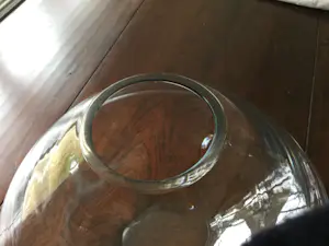 Jelena Popadic - Vaas UFO kopen? Bied vanaf 1!