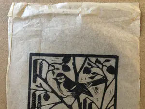 Jac. de Beer - Koolmees met katjes kopen? Bied vanaf 1!