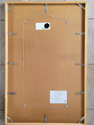 Lita van Engelenhoven - De tulpen en de 5 citroenen. kopen? Bied vanaf 75!