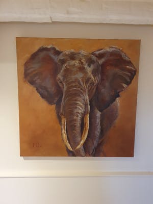 Mieke Robben - Olifant die naar links kijkt kopen? Bied vanaf 400!