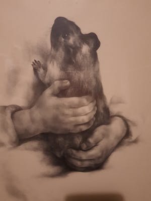 Aart van Dobbenburgh - kinderhanden met cavia kopen? Bied vanaf 45!