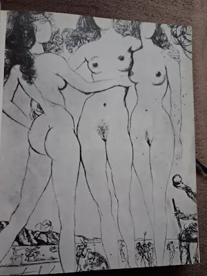 Salvador Dali - Carnets érotique kopen? Bied vanaf 40!