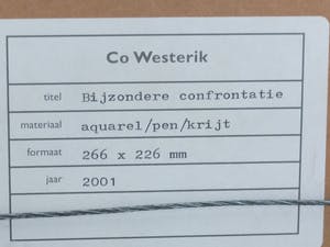 Co Westerik - Bijzondere confrontatie kopen? Bied vanaf 1100!